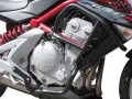 Kawasaki_ER-6n_(05-08)_1M.jpg