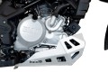 BMW_G_310_GS_plate_ALU2.jpg