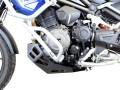 Triumph_Tiger_1200_2022_plate_B4.jpg